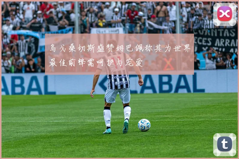 乌戈桑切斯盛赞姆巴佩称其为世界最佳前锋需呵护与宠爱
